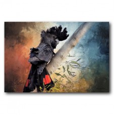 Red Tail Cockatoo Acrylic Wall Art Bird Black Print Painting Hanging 90cm   332554350133